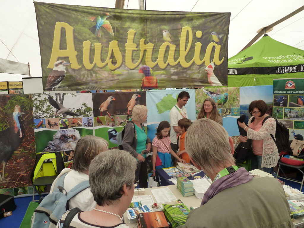 Australian Birdwatching Stand - busy, busy