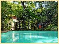 Daintree Bed and Breakfast